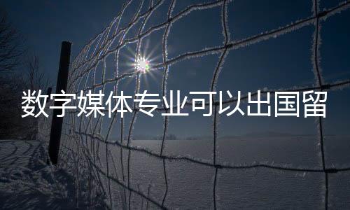 数字媒体专业可以出国留学吗？