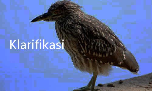Klarifikasi Setwapres: Land Cruiser Penabrak Motor Bukan Kendaraan Dinas, Stiker Tidak Resmi