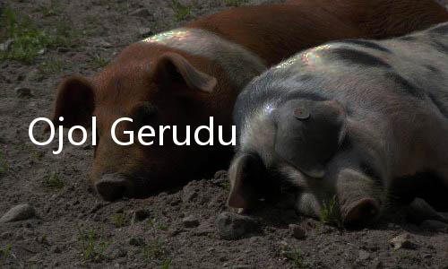 Ojol Geruduk Kemnaker Tuntut THR: Kami Pekerja, Kami Punya Hak!