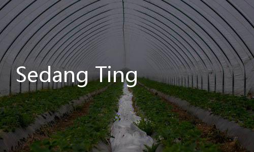 Sedang Tinggi, Ini Gejala Influenza pada Anak yang Bisa Berujung Fatal