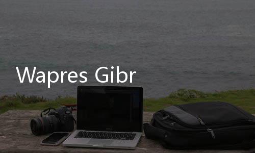 Wapres Gibran Prioritaskan Logistik untuk Warga Korban Banjir di Pondok Gede Permai